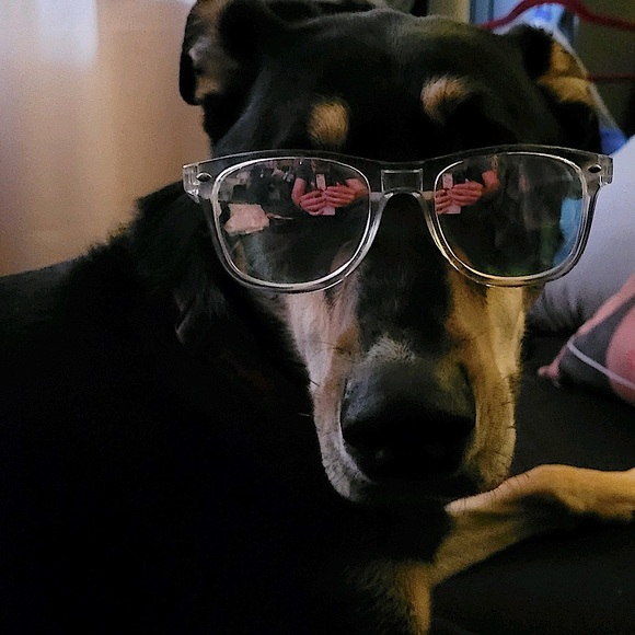 Moi - Picture 6 of 6